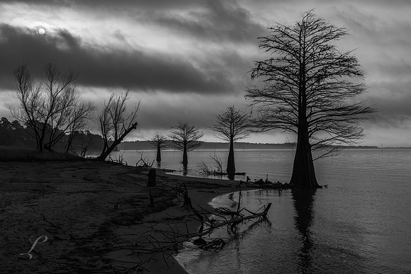 Dark Morning B&W