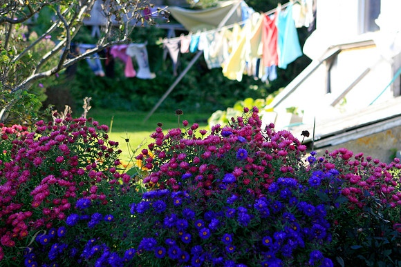 Colors Monhegan Island, Maine