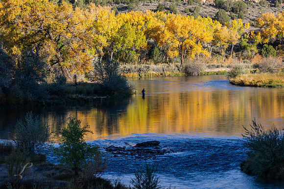 San Juan Trout Fishing - Still Camera