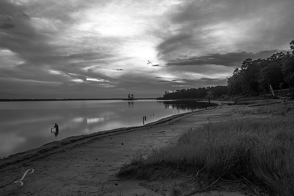 Sam Rayburn Deep Evening B&W