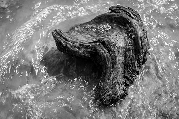 Driftwood Bubbles