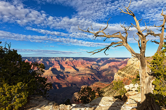 Grand Canyon South Rim 1