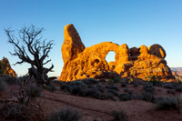 Desert Life & Remnants