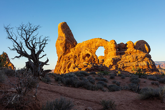 Desert Life & Remnants