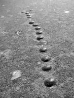 Bead Trail B&W