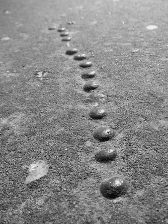 Bead Trail B&W