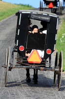 Sunday Carriage Ride