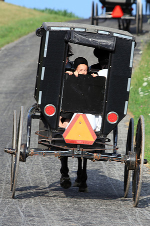 Sunday Carriage Ride