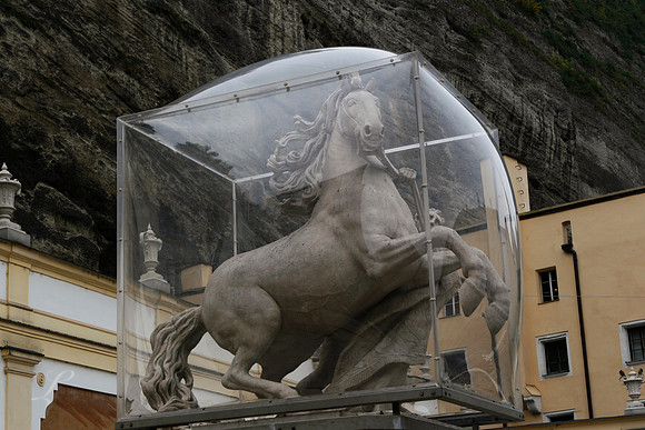 Horse Capture