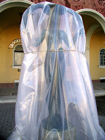 Lady Under Wraps