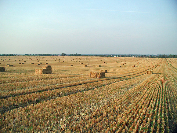 Hungary Hay Field