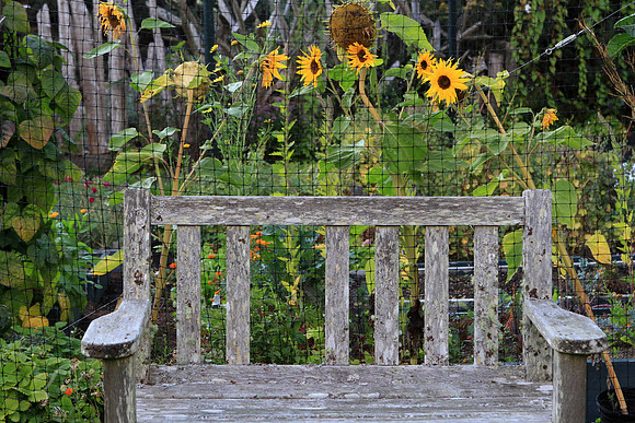 Garden Spot