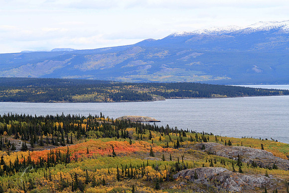 Yukon Lake & Foliage
