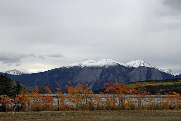 Yukon Rust In The Breeze