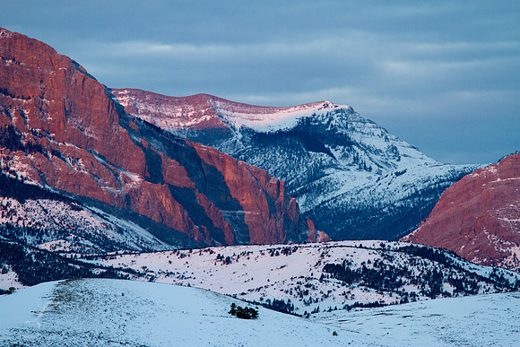 Morning Mountain Pastels, Rocky Mountain Front, Montana