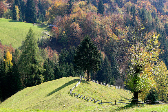 Slovenia Hills & Forests
