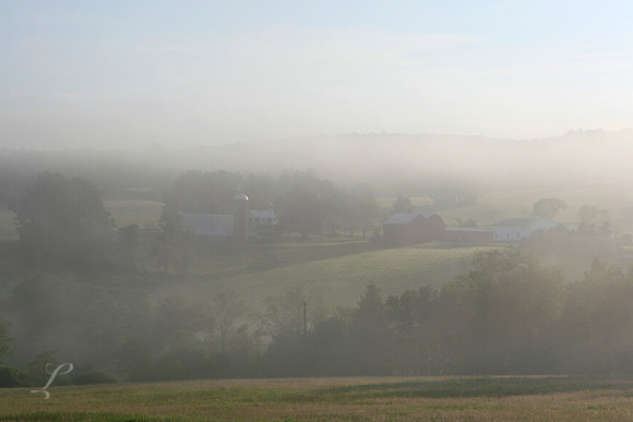 Foggy Farm