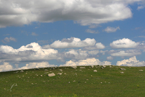 Strewn Hillside