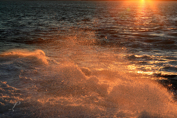 Sun Sparkle Wave, Pemaquid Point, Maine