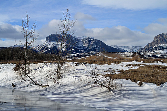 Montana Winter Creek