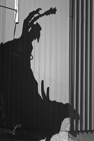 Bull Rider B&W