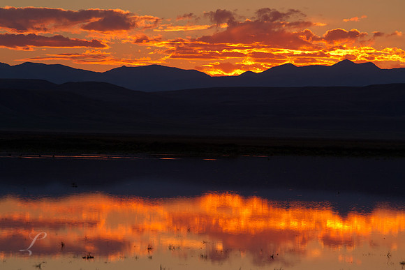 Montana Wetlands Sunset