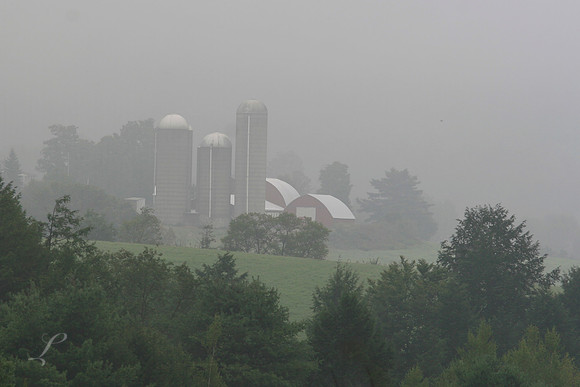 Foggy Farm