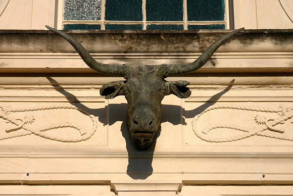 Alice, Texas Longhorn