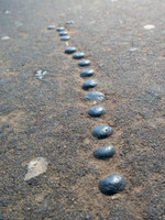 Bead Trail