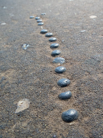 Bead Trail