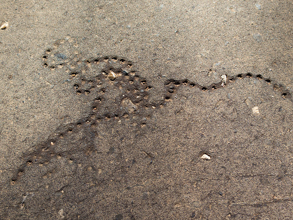 Elephant Chain