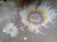 Asphalt Rainbow