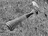 Bolted B&W