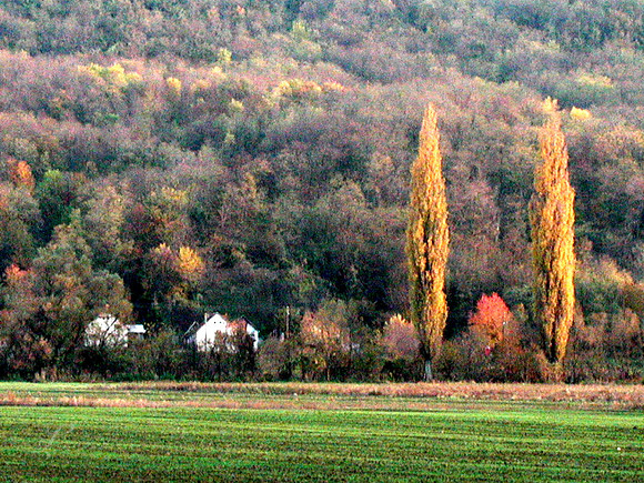 Countryside Near Bonyhád, Hungary