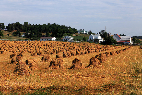 Amish Haystacks