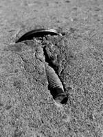 Screwfault B&W