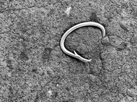 Hooked B&W