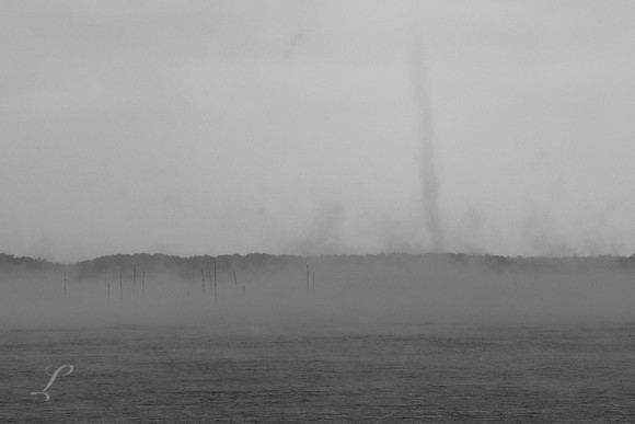 Phenomenon @ 16 Degrees
