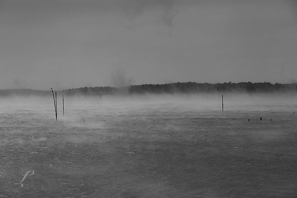 Cold Fog Over the Water