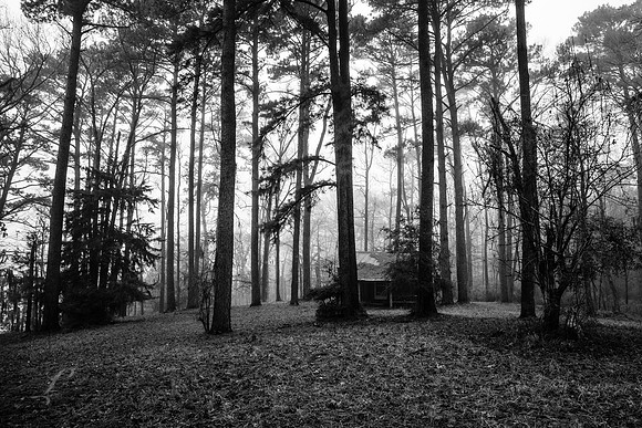 Cabin in the Woods
