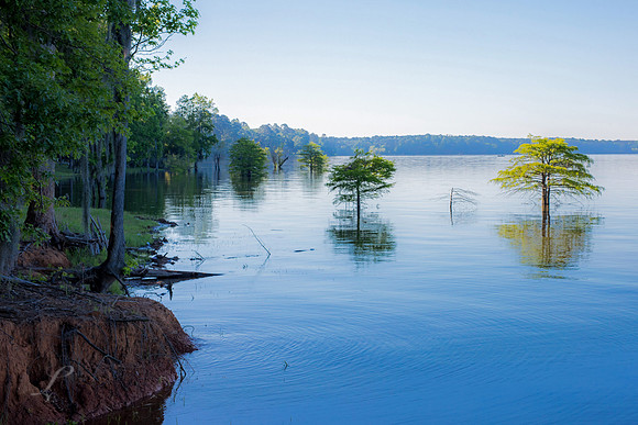 Peaceful Morning