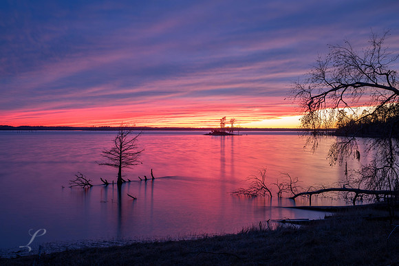 Purple Sky