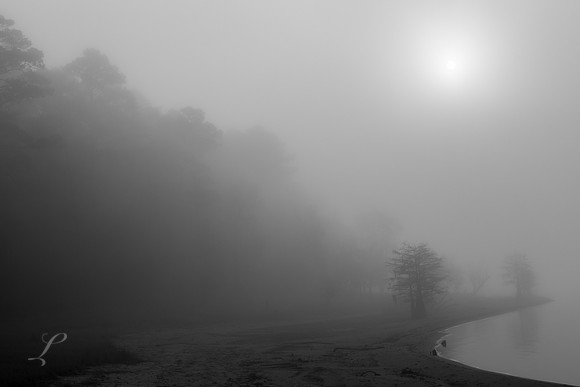 Fogged In