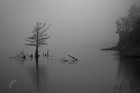 Missing Island