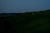 Light On The Hill