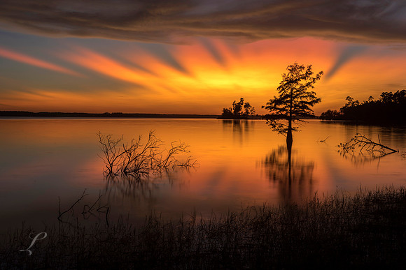 Fall Sunset Lake Sam Rayburn
