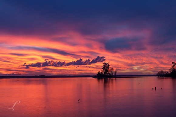 Party Island Draped In Color