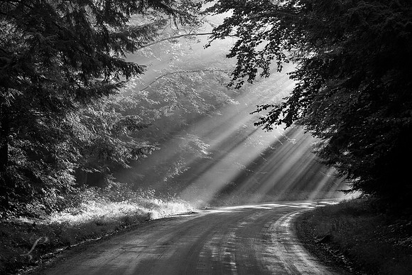 Sun Ray Trail