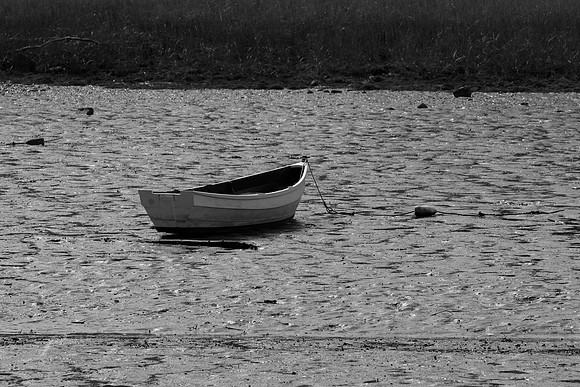 Low Tide