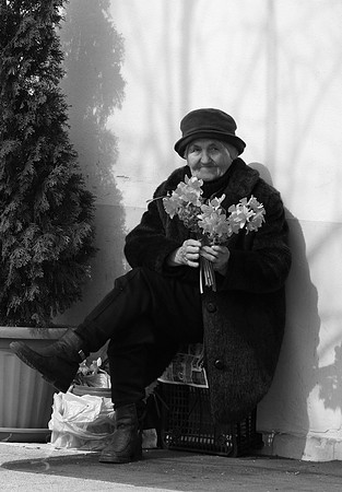 Daffodil Lady, Gyula, Hungary